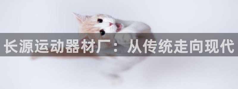 征途国际开户：长源运动器材厂：从传统走向现代