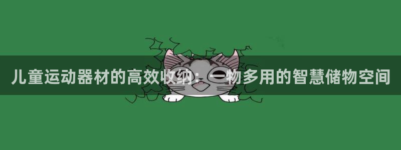 征途国际集团：儿童运动器材的高效收纳：一物多用的智慧