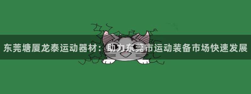 征途国际平台：东莞塘厦龙泰运动器材：助力东莞市运动装
