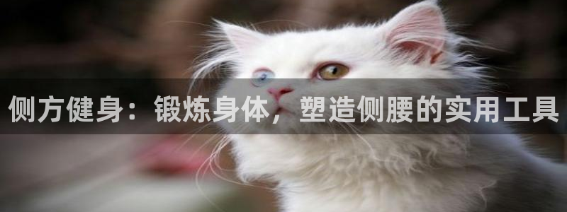 征途国际招商电话是多少啊：侧方健身：锻炼身体，塑造侧腰的实用