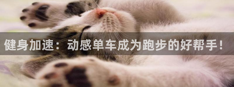 征途国际集团官网首页网址：健身加速：动感单车成为跑步的好帮手