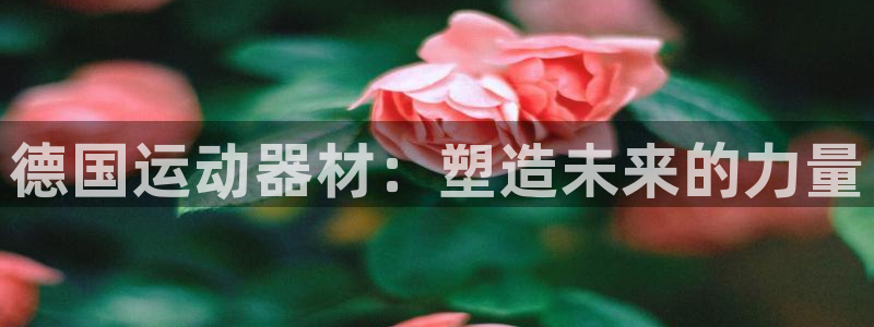 征途国际平台假的吗是真的吗吗：德国运动器材：塑造未来