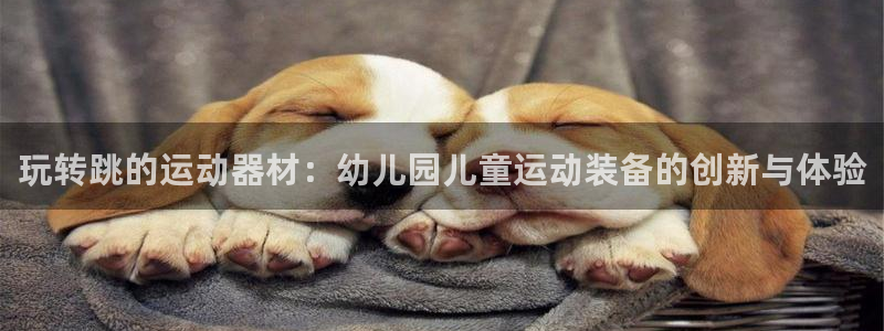 征途国际招商：玩转跳的运动器材：幼儿园儿童运动装备的创新与体