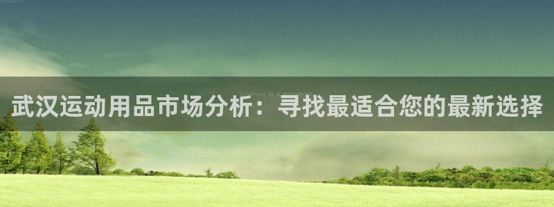 征途国际集团：武汉运动用品市场分析：寻找最适合您的最新选择