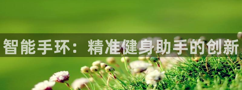 征途国际娱乐40996：智能手环：精准健身助手的创新