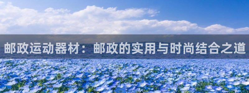 征途国际神州
