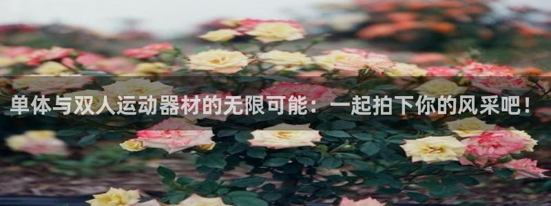 征途国际娱乐网站