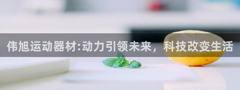 征途国际软件