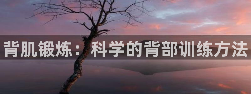 征途国际招商电话是多少啊：背肌锻炼：科学的背部训练方法