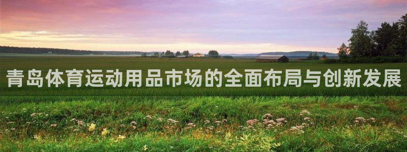征途国际：青岛体育运动用品市场的全面布局与创新发展