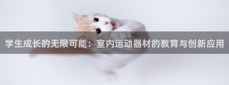 征途国际平台注册：学生成长的无限可能：室内运动器材的教育与创