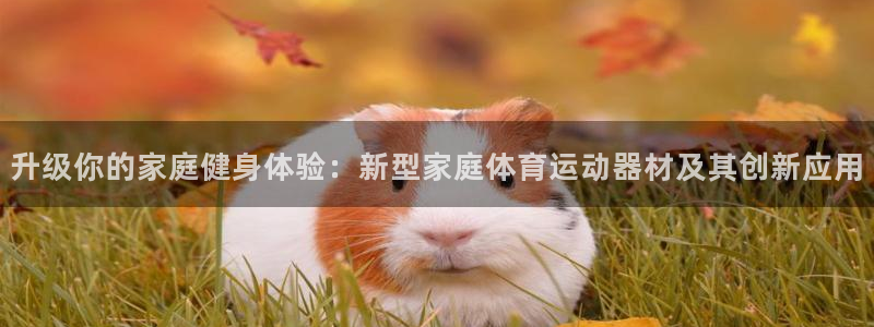 征途国际娱乐是那个系列的台子：升级你的家庭健身体验：新型家庭
