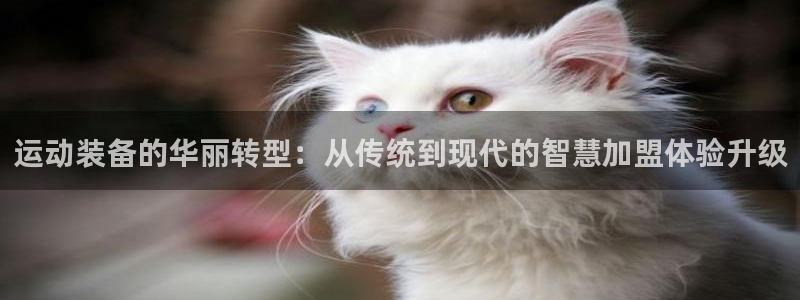 征途国际平台注册流程视频：运动装备的华丽转型：从传统到现代的