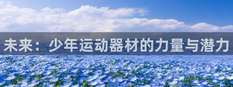 征途国际娱乐：未来：少年运动器材的力量与潜力