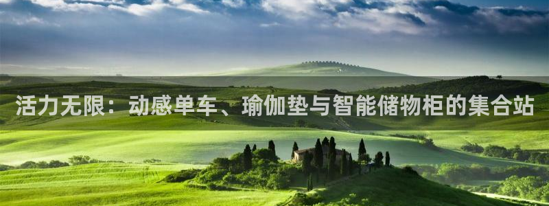 征途国际集团官网首页网址：活力无限：动感单车、瑜伽垫与智能储